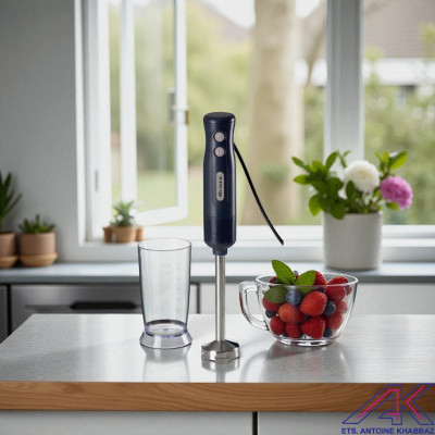 Ariete 601/00 Hand Blender 700W + Bowl, Night Grey | Lebanon