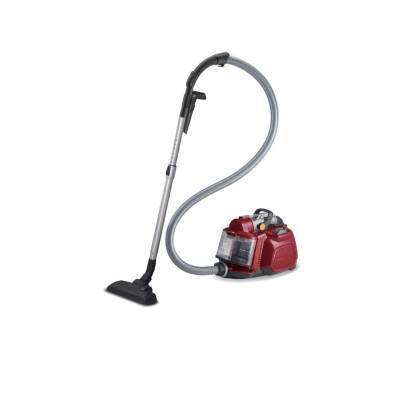 ELECTROLUX ZSPCPARKET Bagless Vacuum Cleaner 800W | Lebanon