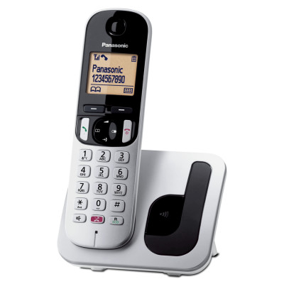Panasonic KX-TGC250 Cordless Phone Silver Color Caller ID
