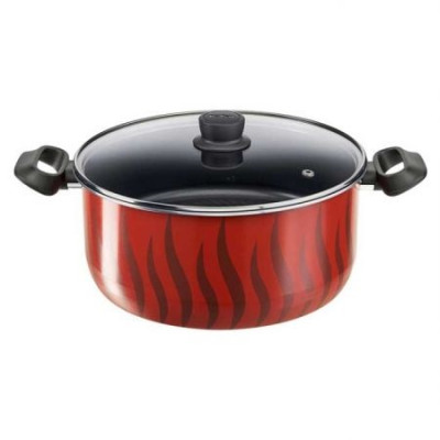 Tefal C54899 Tempo Flame Stew Pot (Casserole) 30Cm | Lebanon